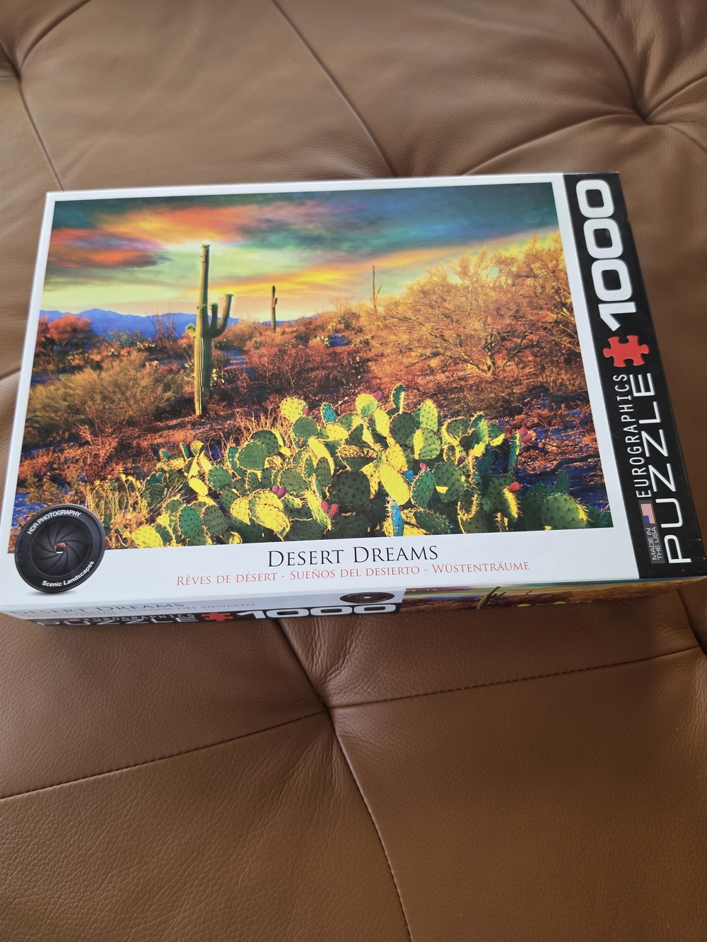EuroGraphics 1000pc "Desert Dreams" Puzzle - Vibrant Cactus Landscape EUC